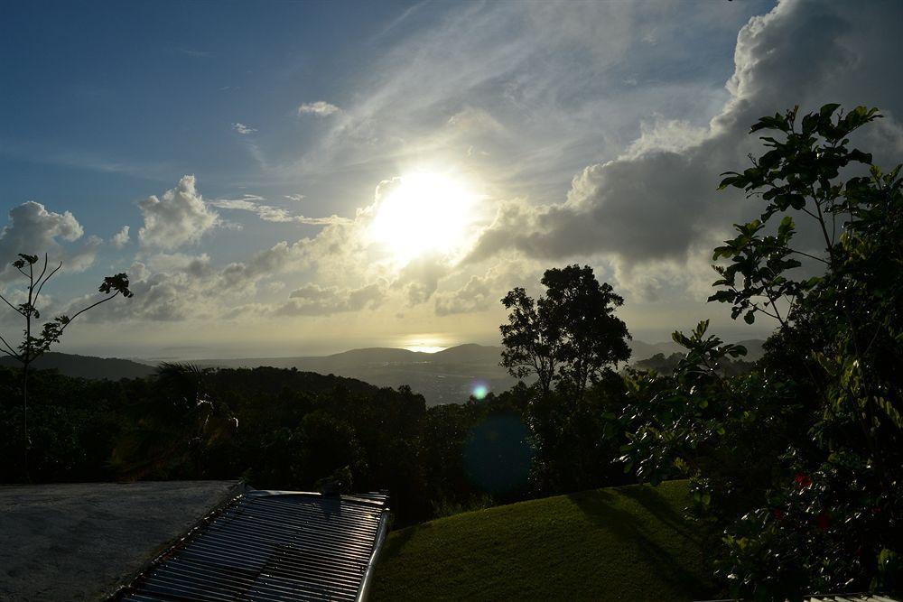 El Hotelito At The Rainforest Experience Farm Fajardo Exterior foto
