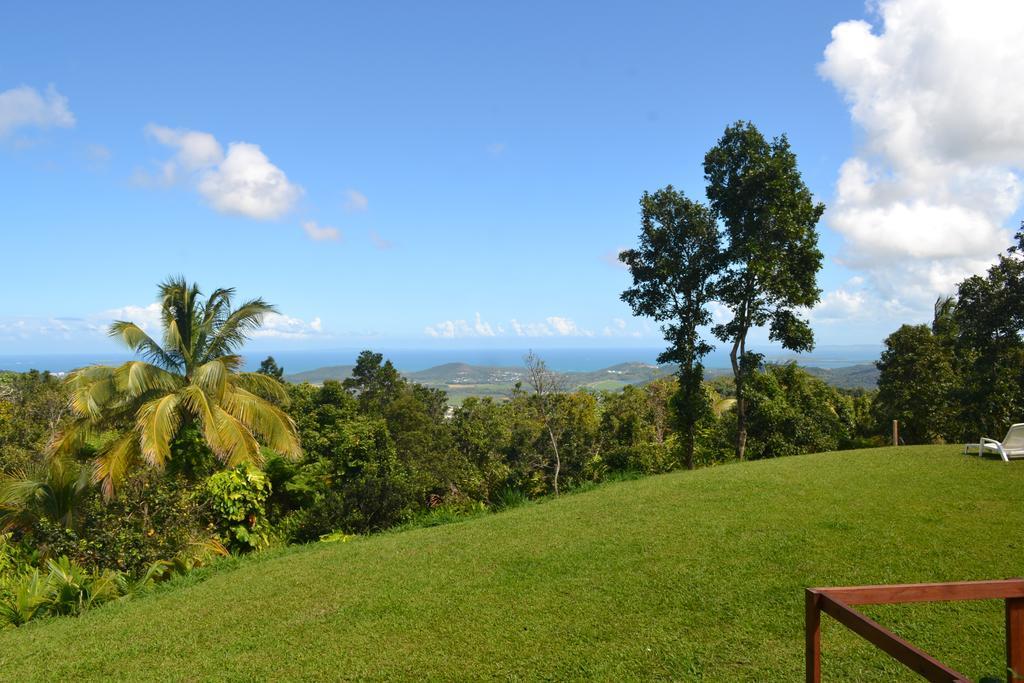 El Hotelito At The Rainforest Experience Farm Fajardo Exterior foto