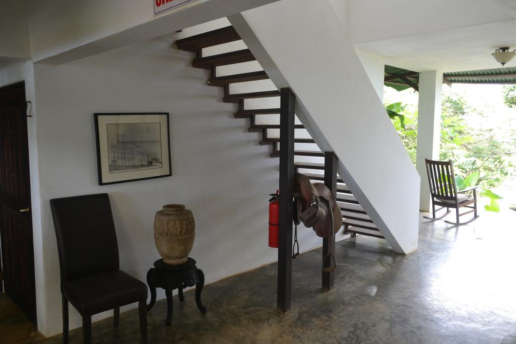 El Hotelito At The Rainforest Experience Farm Fajardo Exterior foto