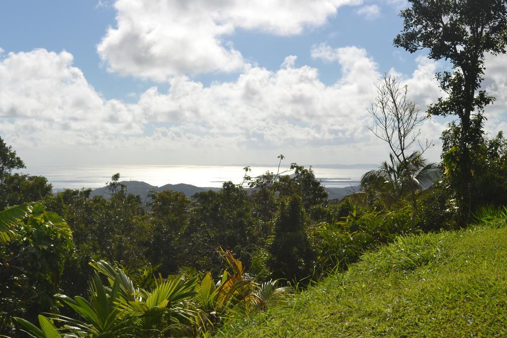 El Hotelito At The Rainforest Experience Farm Fajardo Exterior foto