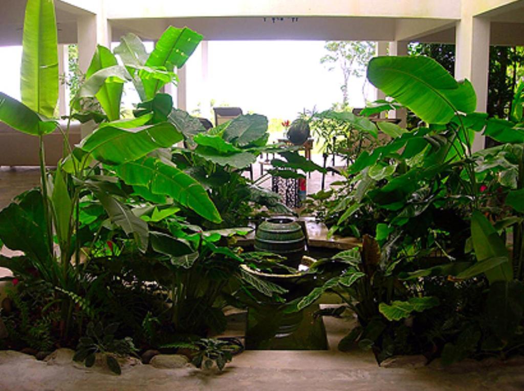 El Hotelito At The Rainforest Experience Farm Fajardo Exterior foto